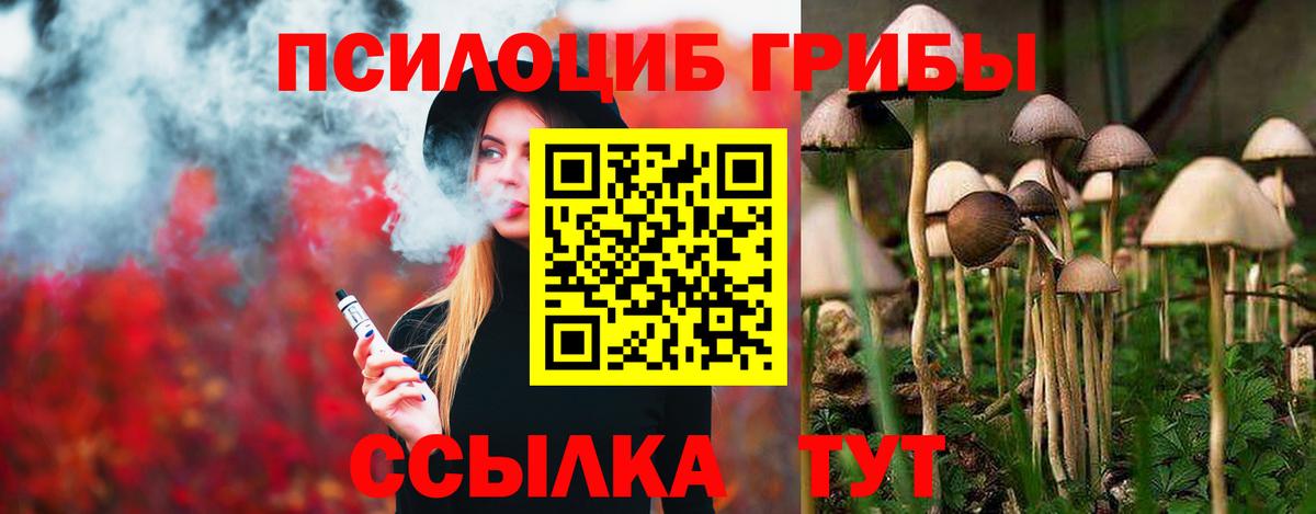 Галлюциногенные грибы Magic Shrooms  Вход с VPN  Жигулёвск  Псилоцибиновые грибы Magic Shrooms 